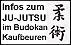 Link Ju-Jutsu-Infos