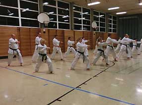 Karate-2015-4