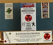 Marketing-Budokan-KF